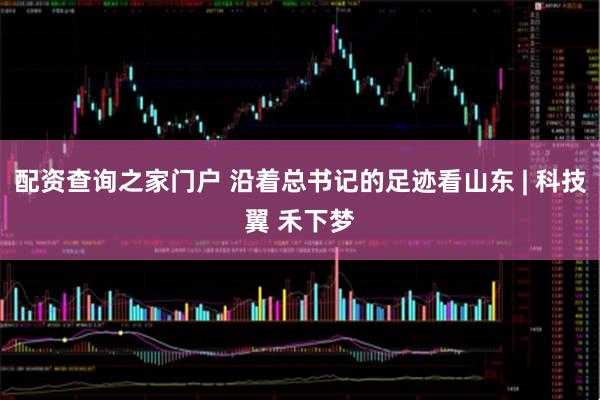 配资查询之家门户 沿着总书记的足迹看山东 | 科技翼 禾下梦