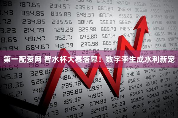 第一配资网 智水杯大赛落幕！数字孪生成水利新宠