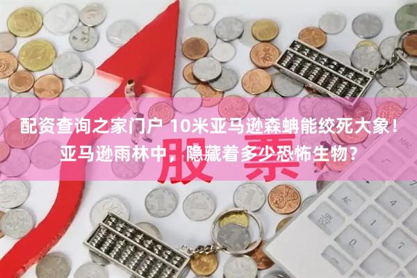 配资查询之家门户 10米亚马逊森蚺能绞死大象！亚马逊雨林中，隐藏着多少恐怖生物？