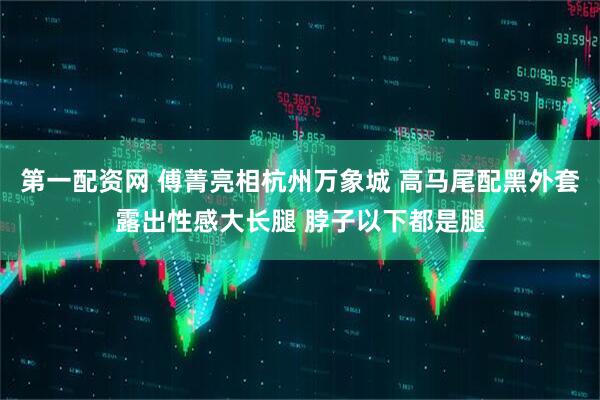 第一配资网 傅菁亮相杭州万象城 高马尾配黑外套露出性感大长腿 脖子以下都是腿