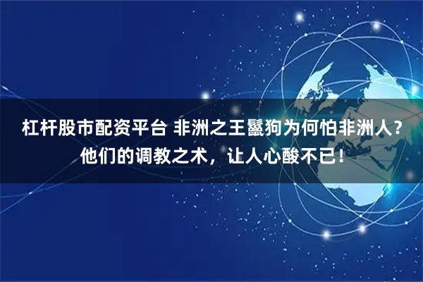 杠杆股市配资平台 非洲之王鬣狗为何怕非洲人？他们的调教之术，让人心酸不已！